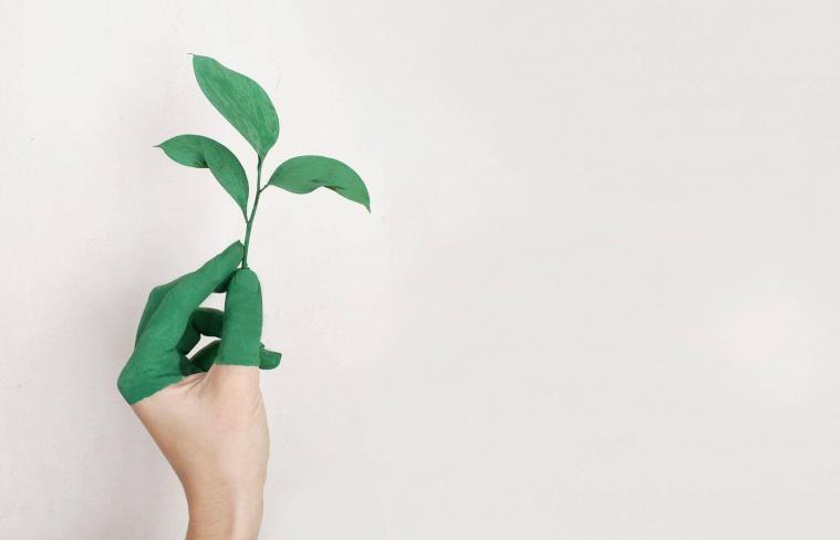 green cleaning